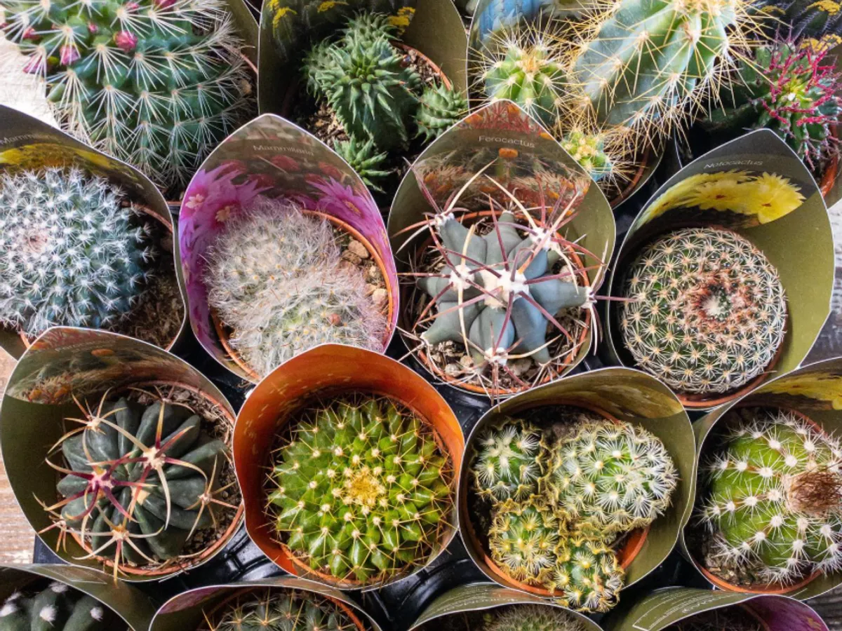 Screenshot 2023 04 04 at 10 59 24