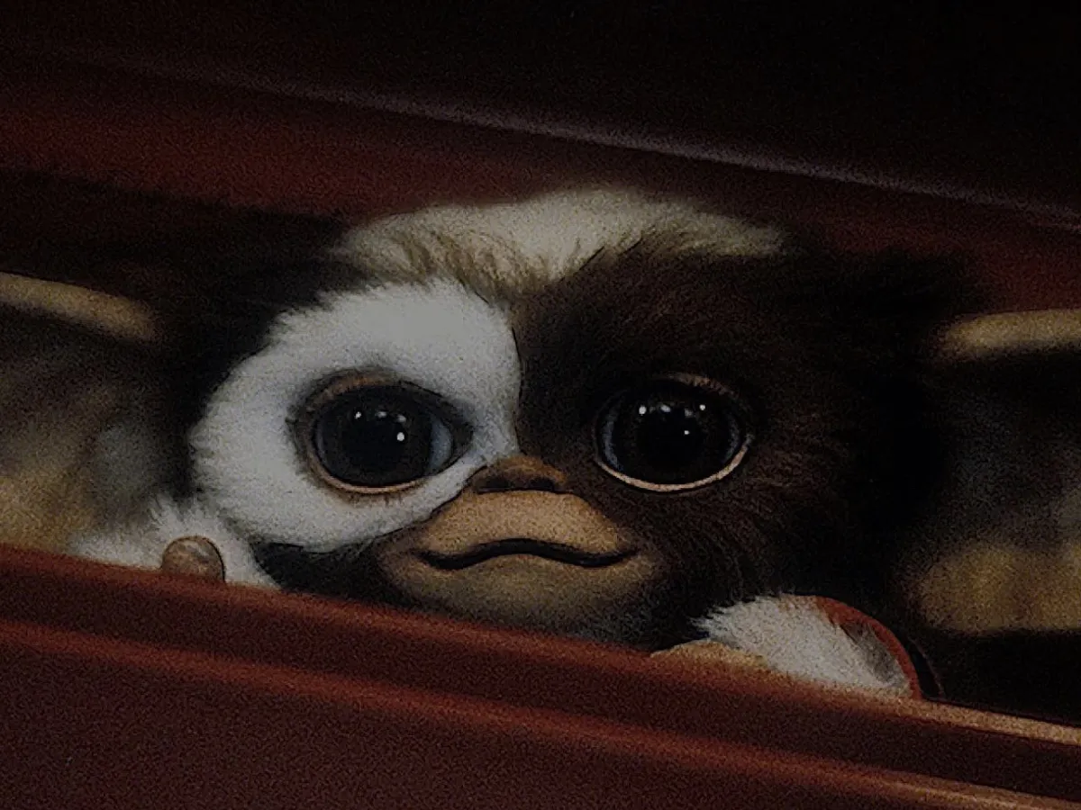 Image 10 11 2023 at 13 02