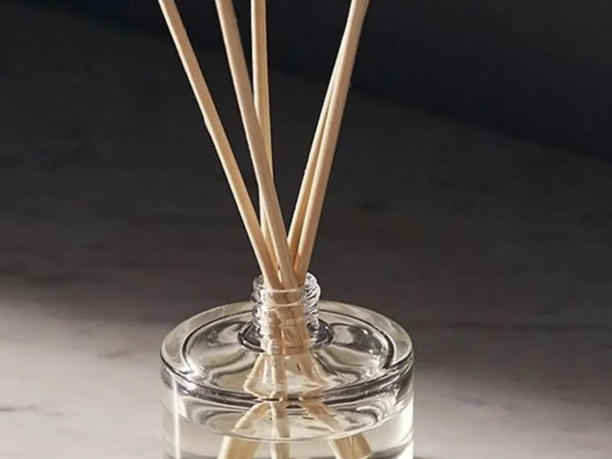 Image 26 02 2024 at 12 14