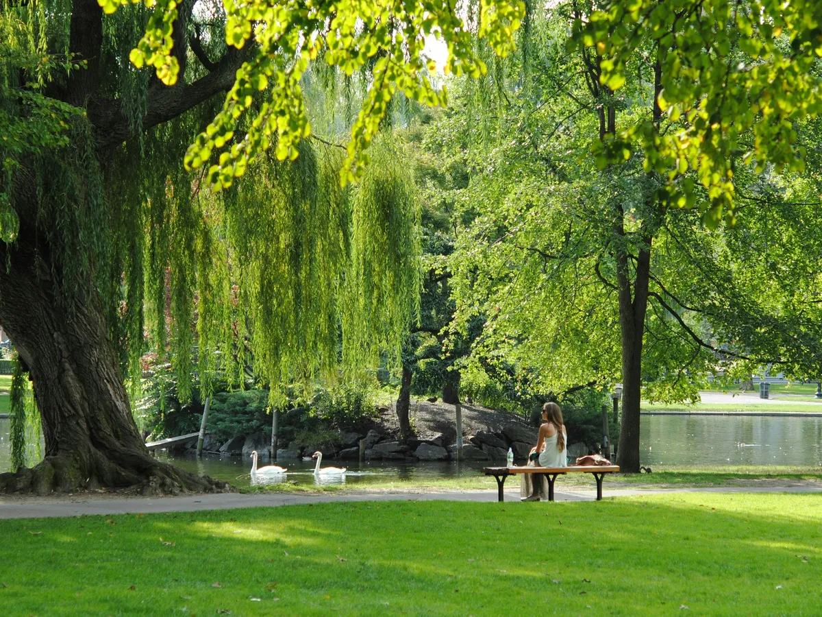 Josephine baran cjr U Lwn J Kh I unsplash