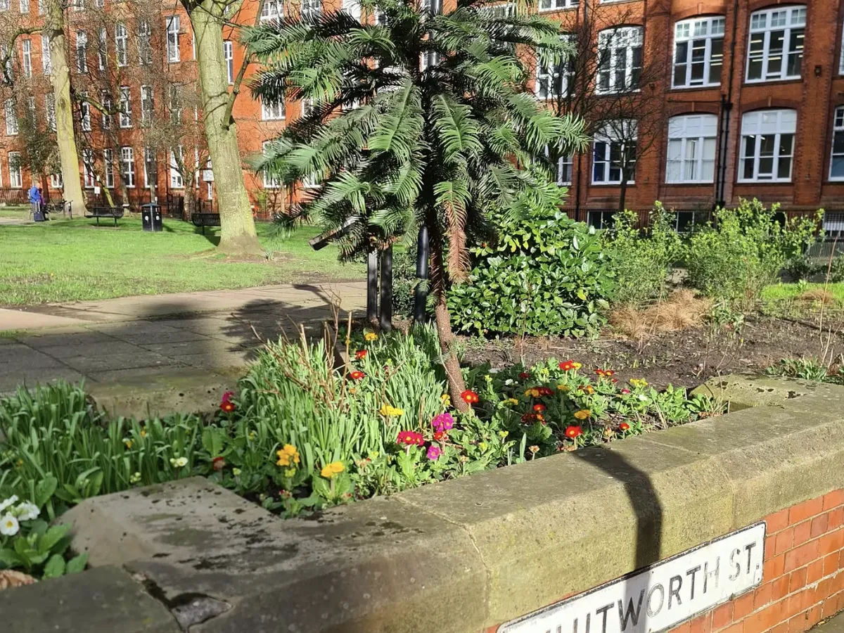 Manchester Environment 4 Green Spaces To Visit In Manchester | Manchester Apartments