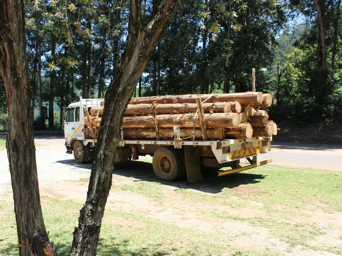 Dineo motau M0ub Huff Wm Y unsplash