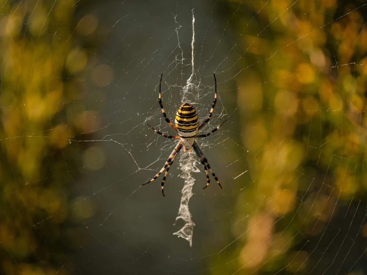 Francesco ungaro TIO9ln6o I Ls unsplash