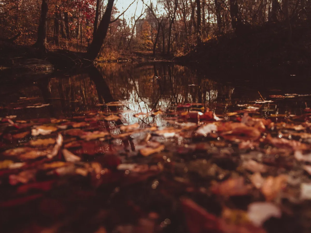 Malcolm lewis l LL7 CM0 Yck Y unsplash